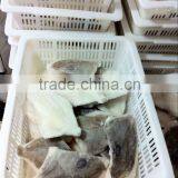 Fresh Frozen John Dory Fillet 150-200g Good Quality thumbnail-3