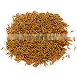 Cumin From India thumbnail-4