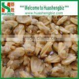 Frozen Seafood Boiled Clam Meat thumbnail-1
