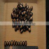 Chinese Delicious Watermelon Seed