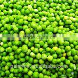 Dried Green Pea thumbnail-3