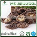 Dried Mushroom Slice thumbnail-1