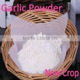 Professional Supplier Elephant Garlic Powder thumbnail-1
