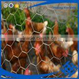Useful Fish Trap Hexagonal Wire Mesh thumbnail-5