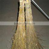 WYC-bamboo broom grass bamboo broom (SKYPE:zhangcandy99)