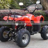 110/250CC Automatic ATV for Sales thumbnail-5