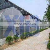 Tunnel Plastic Film Greenhouse thumbnail-1