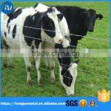 China High Tensile Galvanised Hinge Joint Cattle Farm Fence For Grassland thumbnail-6