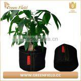Green Field Felt Fabric Tomato Grow Bags, Tree Planting Bags Indoor Grow Bag thumbnail-4