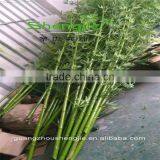 SJLJ013620 Artificial Tree and Plant Fake Plastic Bamboo for Garden Home Decoration thumbnail-1
