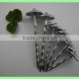 Kenya Umbrella Roofing Nails thumbnail-5