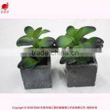 Hot Sell Cheap Wholesale Fake Mini Bonsai Potted,articial Bonsai Outdoor Decoration thumbnail-3