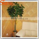 2015 Hot Sale Home Decoration All Types of Indoor Plants Plastic Bonsai Plants and Mini Trees thumbnail-5