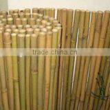 Natural Bamboo Fence for Garden thumbnail-1