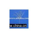 80 CM DRAGON BEARD SP X 3