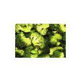Iqf Broccoli Broccoli Florets thumbnail-1