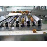 Pineapple Processing Line thumbnail-3
