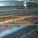 Brazil Poultry Farming Raising Chicken With Small Chicks Cage & Day Old Chicken in Coop & Chicken House