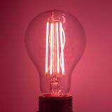 Led Plant Grow Lights Bulb Pitaya Flowering Bulb 10W A70 Tomato thumbnail-3