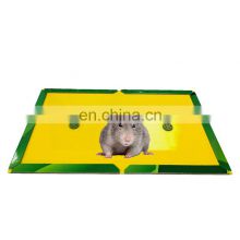 Rat Traps China Trade,Buy China Direct From Rat Traps Factories at