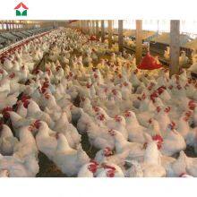 China Prefabricated Chicken Poultry Farm Building House thumbnail-1