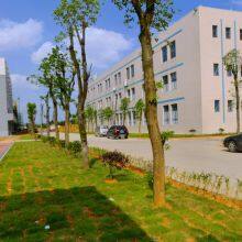 Dongfeng Liangdian (shenzhen)technology Co.,ltd company overview - view 1 thumbnail