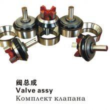 Valve Assay