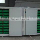 High Efficient Hydroponic Barley Growing Equipment / Popular Fodder Sprouting Equipment thumbnail-5