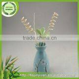 Natural Healthy Best Choice Factory Direct Reed Rattan Stick thumbnail-2