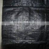 Polypropylene Tampaulin Roll