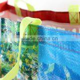 Wholesale Customized Cheap pp Woven Bag for Supermarket thumbnail-6