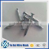 Clout Head Galvanized Coil Roofing Nails thumbnail-3