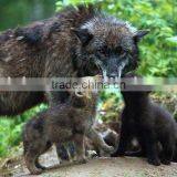 3D Animation Pictures Printing