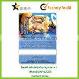 2014 Free Design~~~!!! Free Sample Vip Card/Member ID Card / Plastic Card