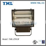 Induction Lamp projector 120W
