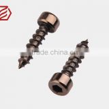 Ni plated hex drive steel plastic tapping screw for switch