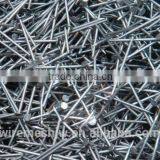 Galvanized Concrete Nails/Nails/Grooved Shank Nails