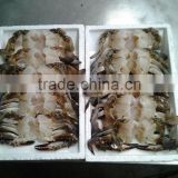 Whole frozen swimming crab
