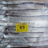 Largehead Hairtail thumbnail-1