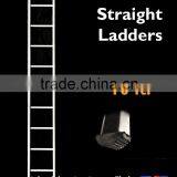 Aluminium 1-Section Straight Ladders 10 Ft. thumbnail-1