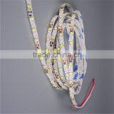 ShenZhen Factory DC12V\24V LED S Shape Strips for Decoration