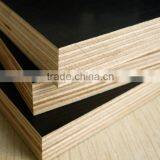 18mm Film Faced Plywood With Cheap Prices thumbnail-4