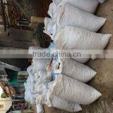 Round Red Chilli thumbnail-2