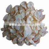 China White Garlic Hot Sale Price