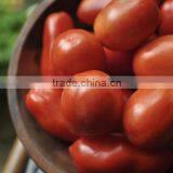 Vietnam Pickled Big Tomatoes in Glass Jar 720ml by HAGIMEX thumbnail-1