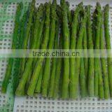 2016 Frozen Green Spring/summer Asparagus Cut/whole From Sunnywellfoods Company thumbnail-4