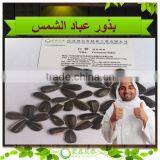 Inner Mongolia 1121 24/68 Sunflower Seeds China Supplier