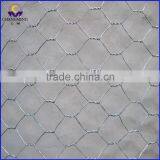 Factory pvc coated chicken wire mesh for chicken