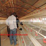 TAIYU Farm Poultry Equipment (Agent and Warehouse in Foreign Countries, Visit Customers Every Year) thumbnail-2