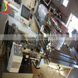 Double Series Automatic Packaging Machine for Packing Various Solid Objects